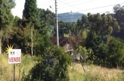 Terreno à venda na rs 235, linha brasil, nova petrópolis por r$ 212.000