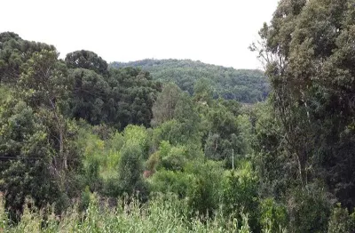 Terreno à venda na estrada pinhal alto, pinhal alto, nova petrópolis por r$ 650.000