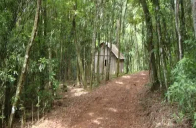 Terreno à venda na br 116, fazenda pirajá, nova petrópolis por r$ 280.000
