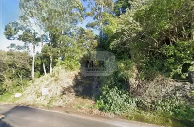 Terreno à venda na vrs 873, centro, morro reuter por r$ 800.000