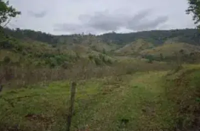 Chácara / sítio à venda na Imóvel Denominado Santa Gabriela, Zona Rural, Muzambinho