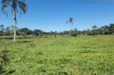 Imóvel rural distrito de vila conceição - sao joao do sul/santa catarina