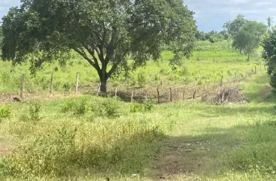 Chácara / sítio à venda na Fazenda Três A, Zona Rural, Angico