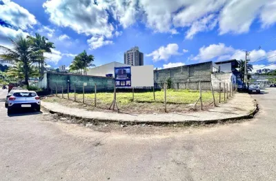 Terreno à venda na Avenida Waldyr Pedro Monachesi, Aeroporto, Juiz de Fora