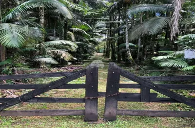 Chácara / sítio com 2 quartos à venda na rodovia pr-340, 207, estrada do cacatu, antonina, 24000 m2 por r$ 220.000