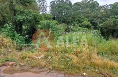 Terreno à venda na Avenida Antônio Mathias de Camargo, Centro, Cotia
