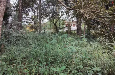 Terreno de esquina - 586,2 m² - bairro gramado -  cotia/sp