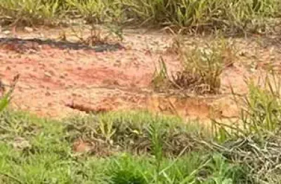 Terreno à venda na Rua Doutor Ladislau Reti, Parque Alexandre, Cotia