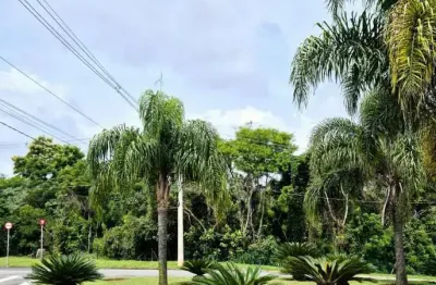 Terreno à venda na Avenida Nicodemos de Carvalho, Parque Dom Henrique, Cotia