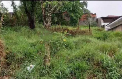 Terreno à venda na Rua Aleijadinho, Jardim Japão (Caucaia do Alto), Cotia