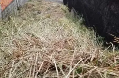 Terreno à venda na Rua Nogam, Jardim Leonor, Cotia