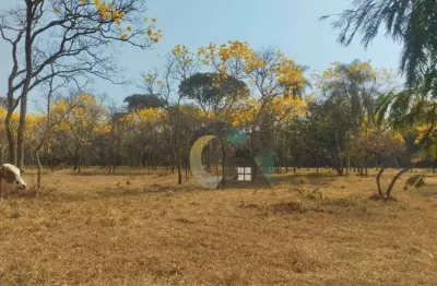 Área à venda, 40000 m² por r$ 1.400.000,00 - aeroporto - barretos/sp