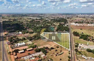 Área à venda, 26000 m² por r$ 8.000.000 - jardim caiçara - barretos/sp