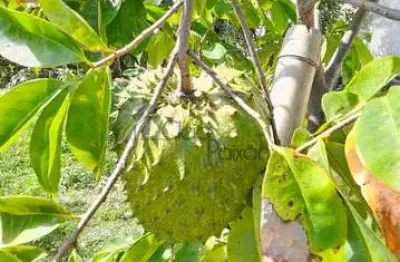Casa com 2 quartos à venda na Rua Tucanos, 35, Parque Nanci, Maricá