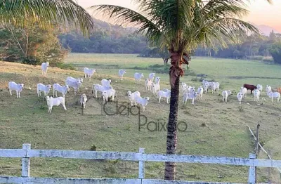 Fazenda com 1 sala à venda na Rua Bosque Fundo, 15, Inoã, Maricá
