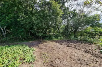 Terreno em condomínio fechado à venda na servidão isaurino germano vidal, 1, rio tavares, florianópolis por r$ 876.000