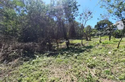 Terreno à venda na servidão pedro manoel borba, 304, açores, florianópolis por r$ 982.800