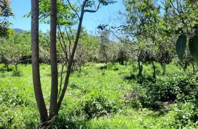 Terreno à venda na servidão pedro manoel borba, 112, açores, florianópolis por r$ 754.300