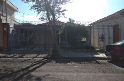 Casa com 5 quartos para alugar no Paulicéia, Piracicaba 