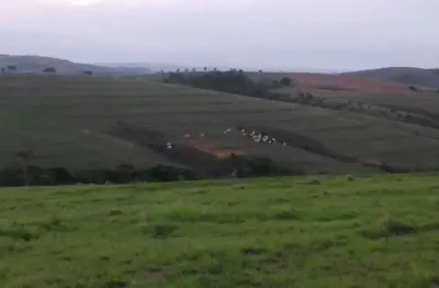 Fazenda com 3 salas à venda na zona rural, tapira , 500 m2 por r$ 18.000.000
