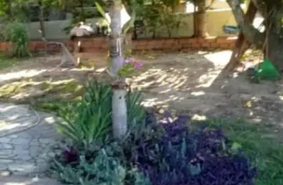 Chácara / sítio com 3 quartos à venda na zona rural, conchas , 162 m2 por r$ 250.000