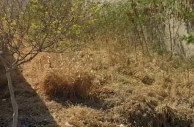 Terreno à venda no loteamento vem viver piracicaba i, piracicaba , 175 m2 por r$ 120.000