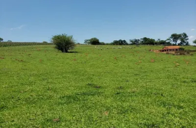 Terreno à venda no paulicéia, piracicaba , 1320 m2 por r$ 880.000