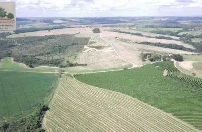 Fazenda com 5 salas à venda na zona rural, perdizes , 2000 m2 por r$ 15.000.000