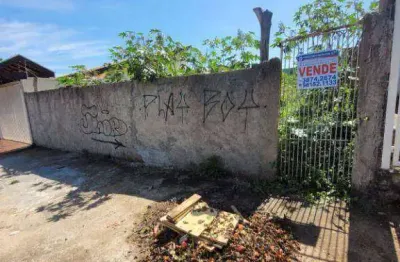 Terreno à venda, 300 m² por r$ 261.000 - joão aranha - paulínia/sp