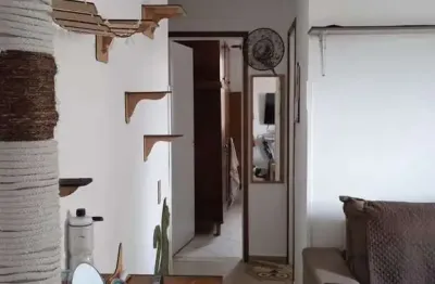 Apartamento com 2 quartos, parque são vicente, são vicente - r$ 240 mil, cod: 12901