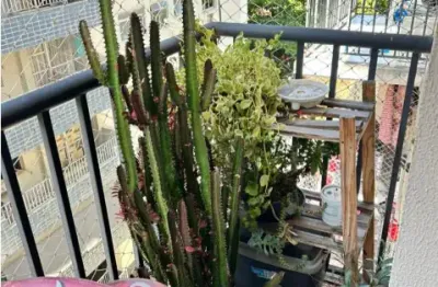 Lindo Apartamento com Infra Estrutura Completa Varanda 2 Quartos 2 banheiros Tijuca - Rio de Janeiro (RJ)