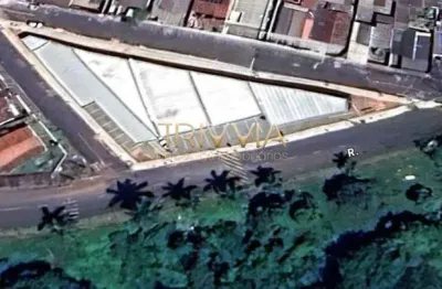 Barracão / Galpão / Depósito à venda no Luizote de Freitas, Uberlândia 