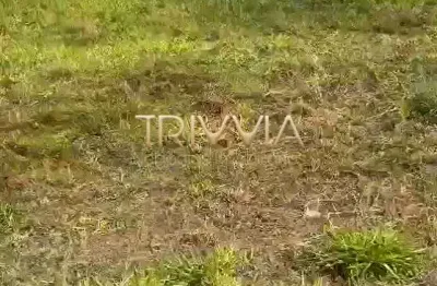 Terreno no Terras Alpha – localização privilegiada e alto potencial de valorização