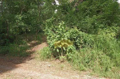 Terreno à venda, 760 m² por r$ 106.000,00 - loteamento fontes e bosques alam grei - rio claro/sp