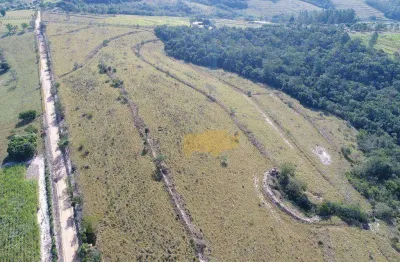 Sítio à venda, 193600 m² por r$ 1.500.000,00 - zona rural - rio claro/sp
