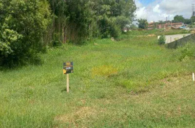 Terreno à venda, 919 m² por r$ 765.000,00 - residencial florença - rio claro/sp