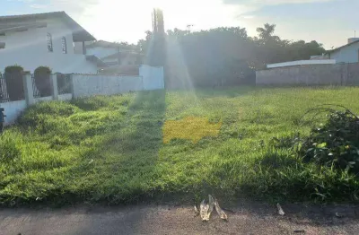 Terreno à venda, 580 m² por r$ 697.000,00 - residencial florença - rio claro/sp