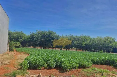 Terreno à venda, 100 m² por R$ 70.000,00 - Engenho Velho - Cordeirópolis/SP