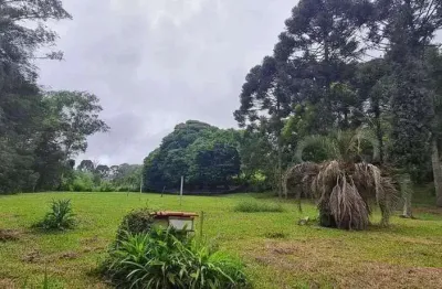 Chácara à venda em piraquara, vila são tiago, com 4 quartos, 7.479m²