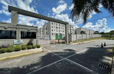 Apartamento com 2 dormitórios para alugar, 43 m² por r$ 1.545,00/mês - cachoeira - araucária/pr