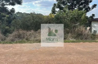 Terreno à venda, 1208 m² por r$ 550.000 - vila nova - quitandinha/pr