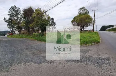 Terreno à venda, 3523 m² por r$ 2.994.975,00 - jardim carvalho - ponta grossa/pr