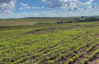 Propriedade de 7,72 alqueires em presidente castelo branco -pr