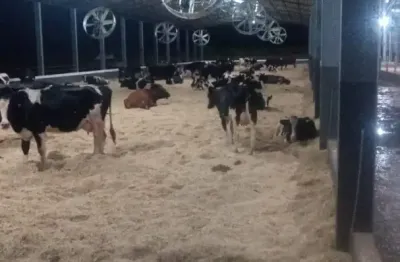 Propriedade de 17 alqueires aptidão  leiteria  santa isabel do ivaí - pr