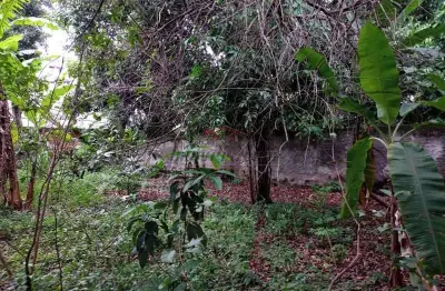 Terreno à venda na estrada do bananal, 1180, freguesia (jacarepaguá), rio de janeiro, 2440 m2 por r$ 3.550.000