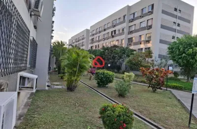 Apartamento : padrão / residencial / freguesia (jacarepaguá)