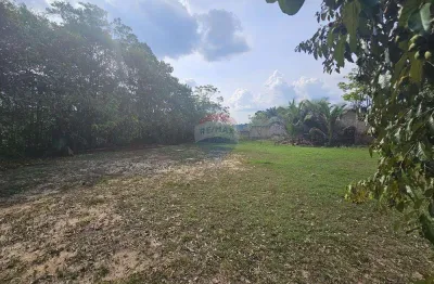 Terreno exclusivo 21.383m²  localizado no bairro tarumã  próximo ao igarapé do mariano: oportunidade única!