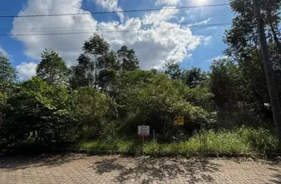 Terreno à venda no loteamento alameda das flores em estância velha