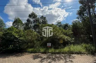 Terreno à venda no loteamento alameda das flores em estância velha