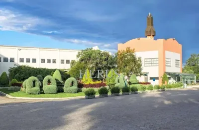 Barracão / galpão / depósito para alugar na avenida rocha pombo, 2562, águas belas, são josé dos pinhais